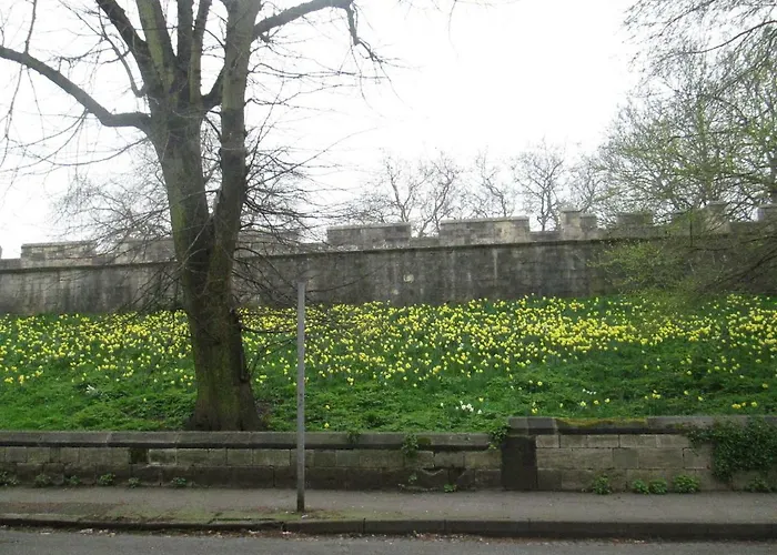 Victoria Bar Within The Walls Free Parking Apartament *